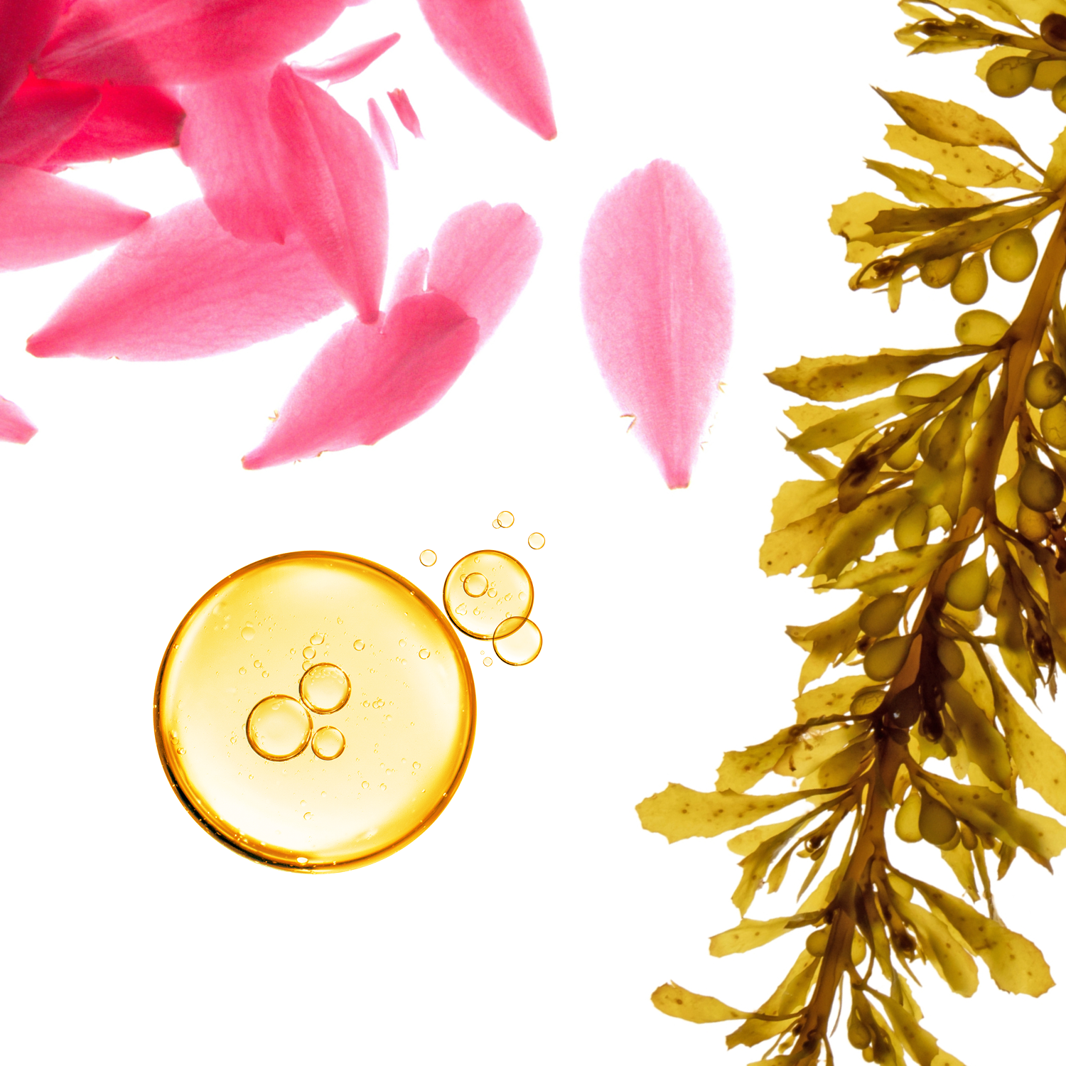 Vacation Edit Body Wash Sheets