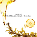 Vacation Edit Shampoo Sheets